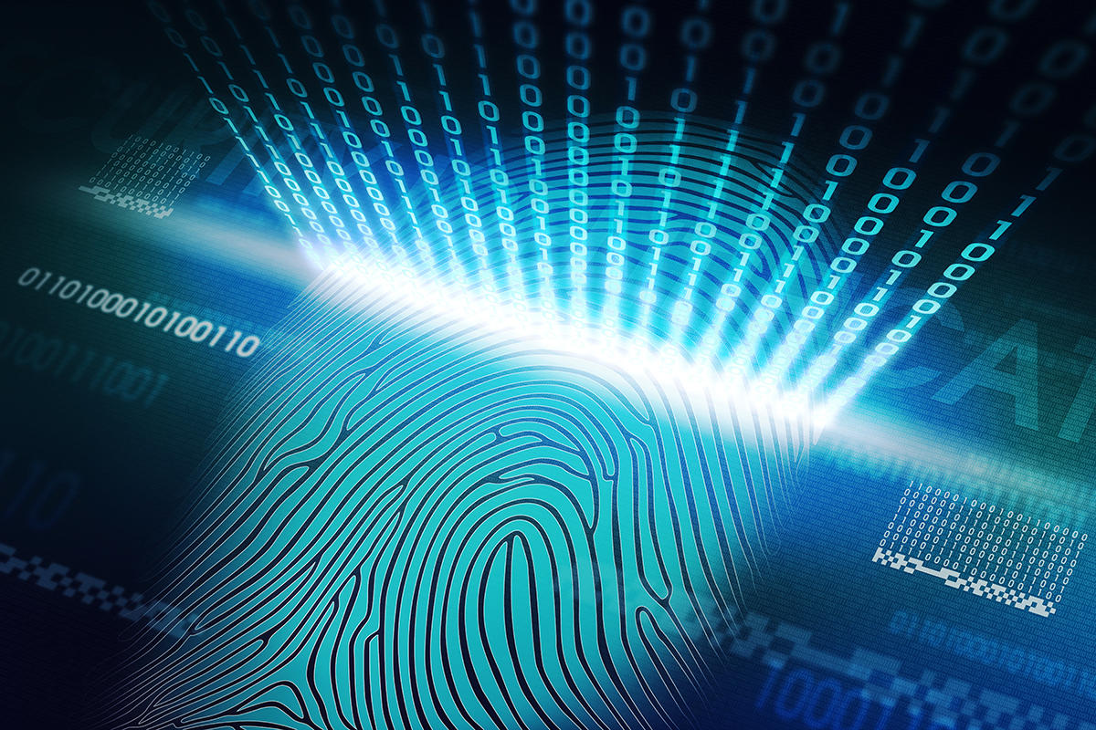 fingerprinting software and scanner